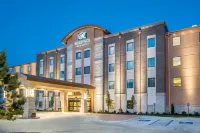 Comfort Suites - Dodge City Отели рядом с достопримечательностью «Колледж Додж-Сити Коммьюнити»