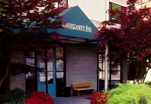 2. 스테이파인애플 ..