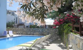 Canna Garden Hotel - Adult Only