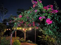 Legacy Boutique Hotel Hotels in Zarcero