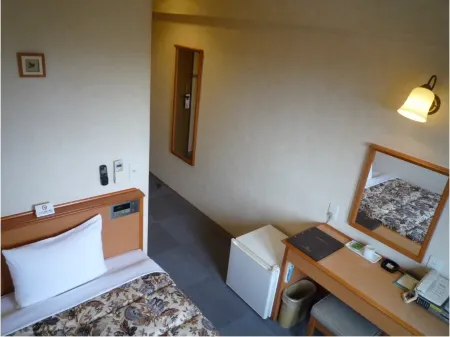 Hotel Elmont Отели в г. Тикуго