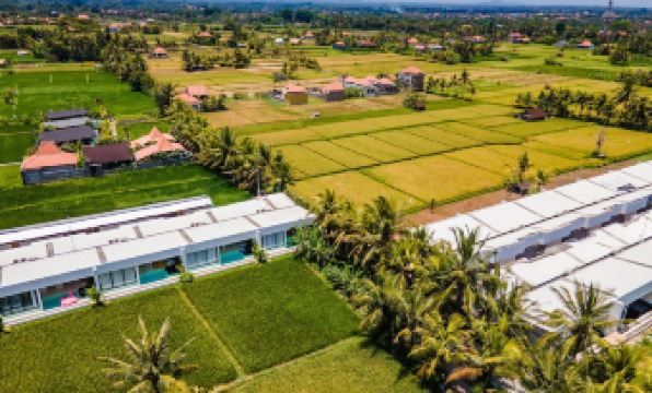 1. 그린 플로우 빌..