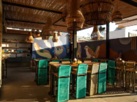 Mayan Monkey Los Cabos - Social Hotel Hotels in Los Cabos