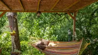 Villa Antico Podere Rota -  Casas de vacaciones