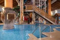 Wyndham Garden Otsego-Minneapolis - Uima-altaat