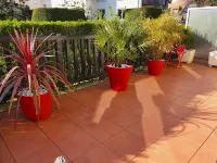 2-room luxury apartment with terrace near beach and town center