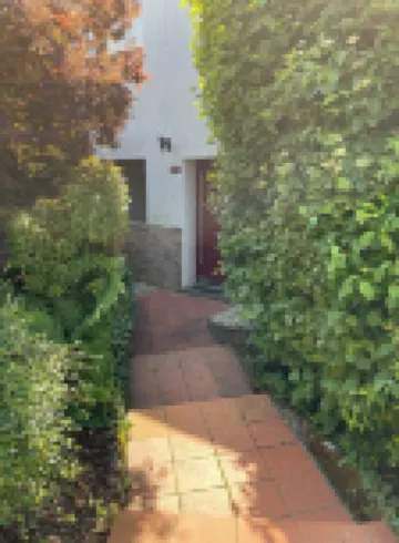 Cozy vacation apartment in the wine village of Trier Olewig