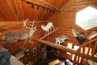 Unique Alaskan Log Home in Trees & Wild Flowers on 14-Acre Private Homestead.