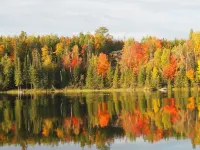 Enjoy privacy in this newly built cabin with spectacular view of North Star Lake