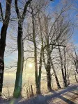 Delightful One Bedroom Cabin on Scenic Historic Farm