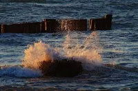 Aktivhof - sunny island with balcony 5 minutes from the beach