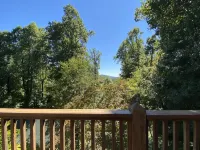 Sky Dog Pet Friendly Home Dupont Brevard Hiking Mountain Biking Porch Waterfalls