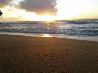 Second floor, Great Ocean view  #260 - 2つ星