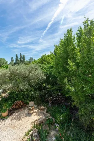 Dans UN Coin DE Verdure Avec Bassin DE Baignade