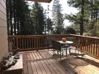 Adorable cottage w/ ocean views, redwoods, and a hot tub. Pets OK!