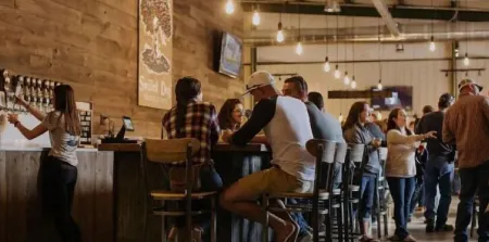 Cozy Log Cabin in the Heart of Smoke Hole Canyon Overlooking South Branch River.
