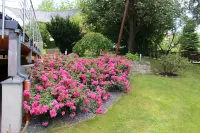 Comfortable wooden house in the heart of Saxon Switzerland above Rathen