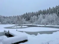 Domaine Chalet private ponds Haute Vosges
