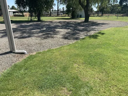 Skibo Cottage Отели в г. Кэмпердаун