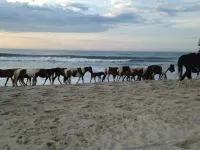 Sunset Bay Villas 'Another Day in Paradise'  Amazing Water Views & Sunsets