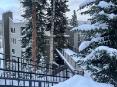 Ski in/Ski Out Studio on the Corridor! Beautiful Alpine Views!