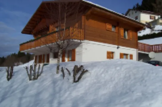 CHALET GERARDMER renting the ground floor of 90 m2 plot of 3000m2
