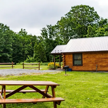 Rustic yet Modern Log Cabin, Cayuga Wine Trail, Dog Friendly, Open Year Round