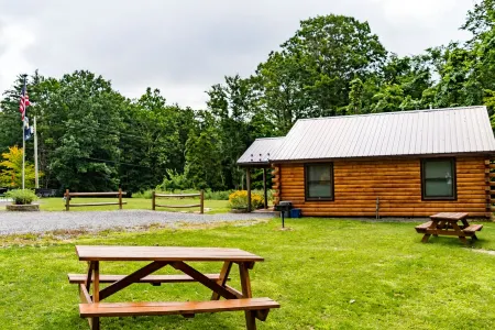Rustic yet Modern Log Cabin, Cayuga Wine Trail, Dog Friendly, Open Year Round