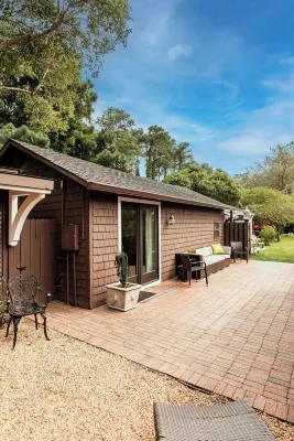 The Elderberry Studio