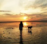 Apartment in the 1st row on the North Sea dike Hotels in Dorum