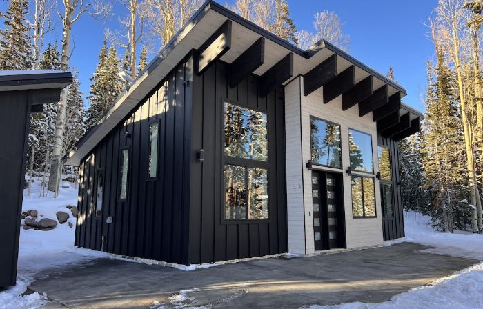 Chalet Black: Modern Ski Resort Haven in Wooded Paradise! 4 queen beds