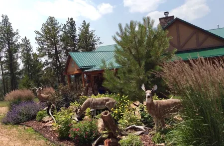 Forest Estate Guest Quarters-Seclusion- Just Minutes from Town