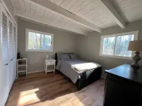 Birch Cottage - Wonderful location. Beach, Hike, & Shop! Pure Michigan getaway.