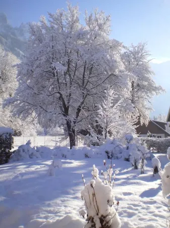 House with garden Отели рядом с достопримечательностью «SKIMIUM AIGUILLE DU MIDI»
