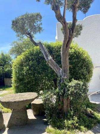 Villa Marecoco, Forio, Ischia