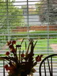 Cute private home in the heart of Yakima. Easy access to best city attractions..