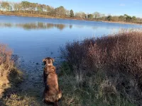 Apartment Seeweg - your time out in the north Hotels in Beverstedt