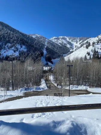 Remodeled Four Bedroom Elkhorn Condo Backs to Open Space Near Harker Center