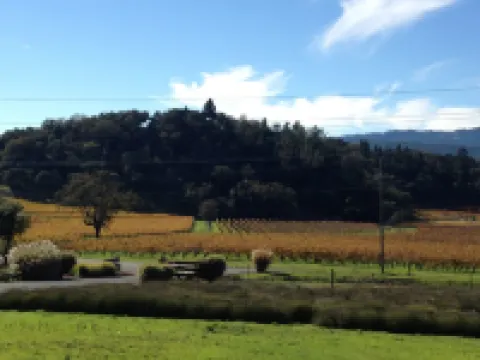 Available * Downtown Napa- Beautifully Remodeled --2Bedroom 2 Bathroom Home