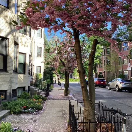 Historic Brownstone Townhouse, 7 beds/3.5 baths, Fenway Boston