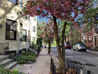 Historic Brownstone Townhouse, 7 beds/3.5 baths, Fenway Boston - 3-Star