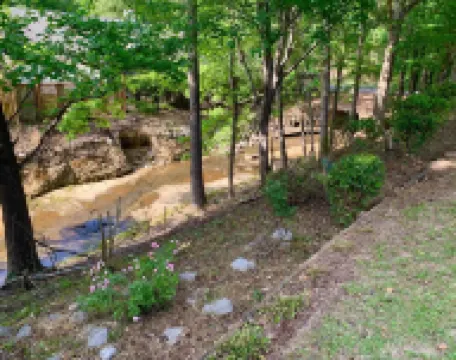 Updated Home on Creek *3 King Beds* 4 mi to UA