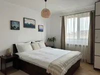 Bucovina Easy Stay Hotels in Scheia