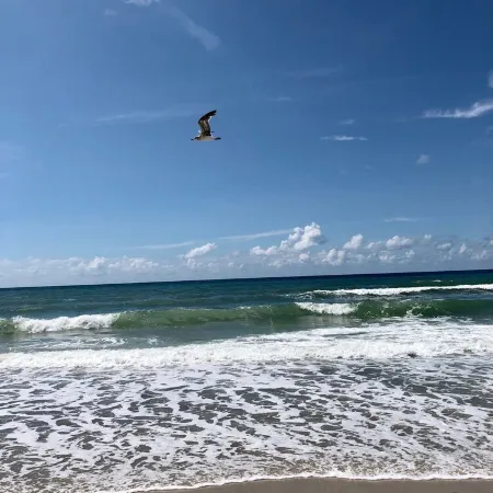 King Bedroom Suite Condo - Walking Distance to Beach!!! Linens/Towels included!!