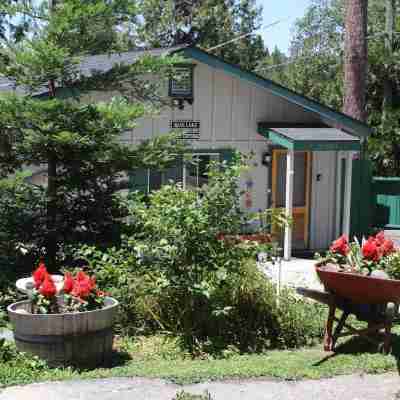 Bass Lake Cozy Cottage near Yosemite Hotel Exterior
