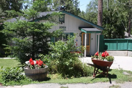 Bass Lake Cozy Cottage near Yosemite