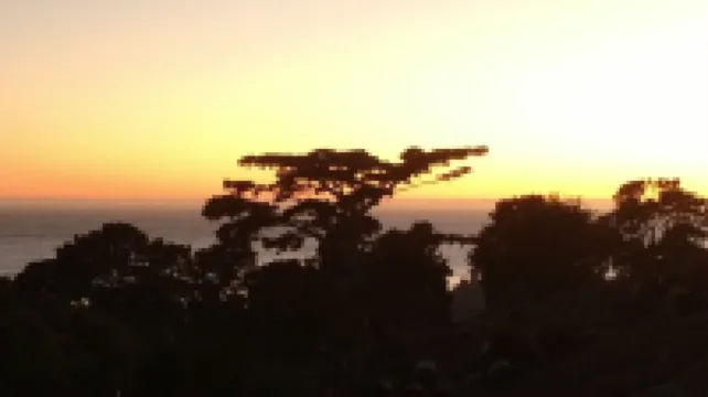 Downtown Charming, 2 Br 2 BA Flat, 1 Block from Ocean Ave, Carmel-by-The-Sea, CA