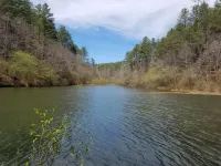 Lake Front Cabin - Very Secluded...Serenity lives here!