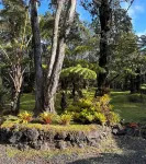 The Jungalow is a charming renovated bungalow minutes from Volcano National Park