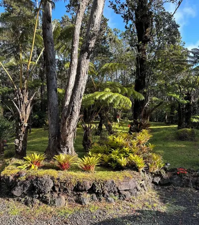 The Jungalow is a charming renovated bungalow minutes from Volcano National Park